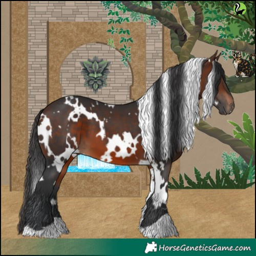 Horse Color:White Spotted Brown 
