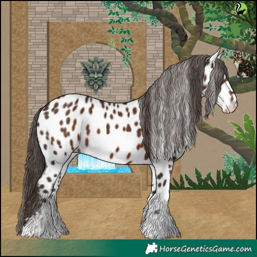 Horse Color:White Spotted Liver Chestnut Appaloosa 
