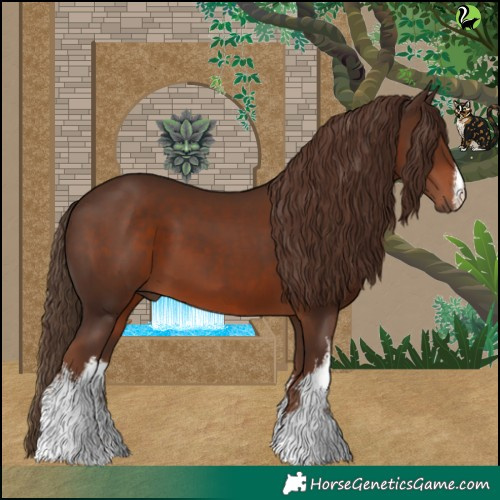 Horse Color:White Spotted Liver Chestnut 