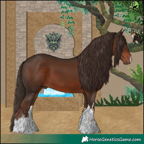 Horse Color:White Spotted Liver Chestnut 