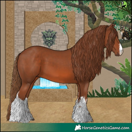 Horse Color:White Spotted Chestnut 