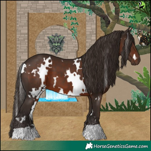 Horse Color:White Spotted Liver Chestnut 