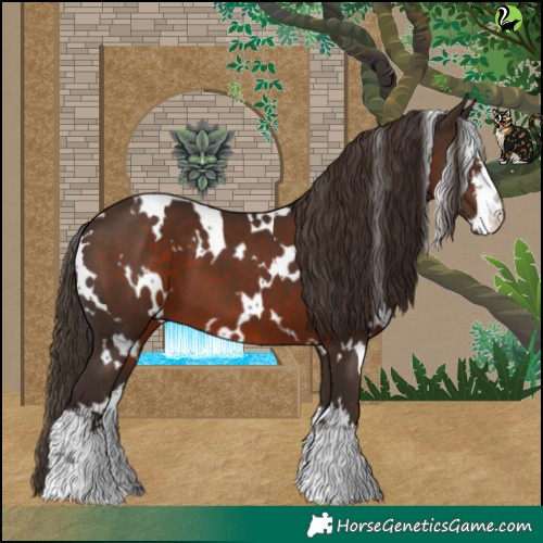 Horse Color:White Spotted Liver Chestnut 
