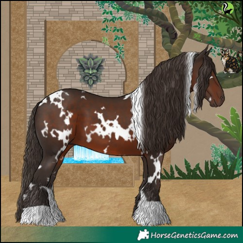 Horse Color:White Spotted Liver Chestnut 