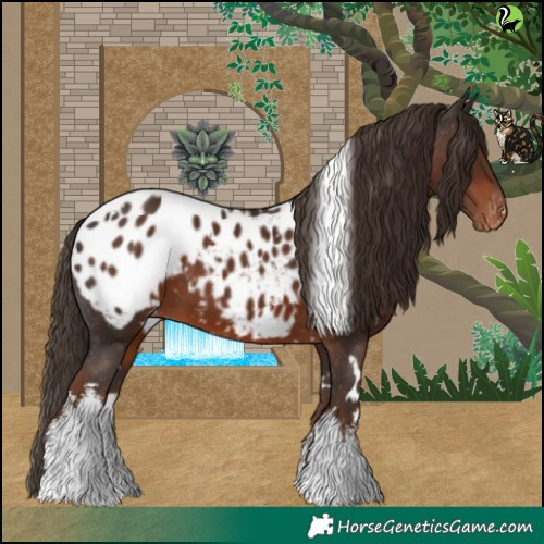 Horse Color:White Spotted Liver Chestnut Appaloosa 