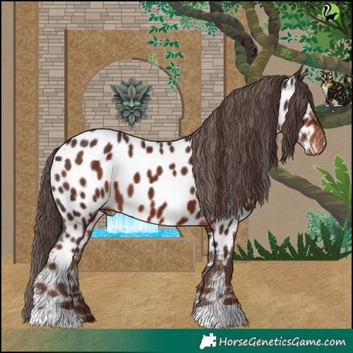 Horse Color:Liver Chestnut Near Leopard 