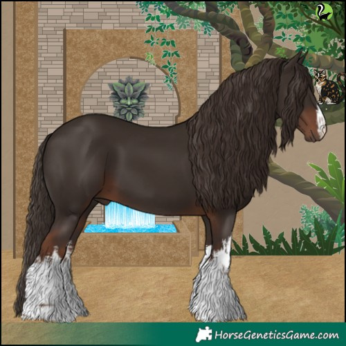 Horse Color:White Spotted Liver Chestnut 