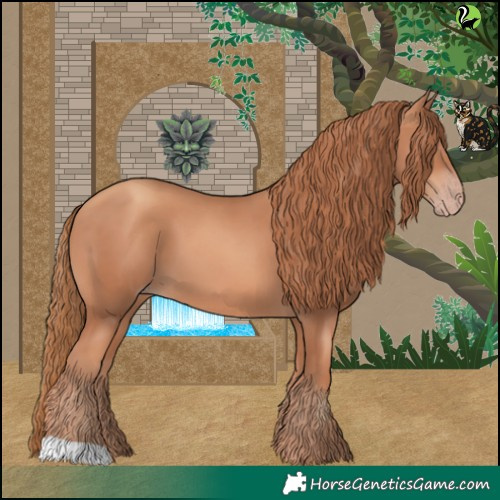 Horse Color:Gold Champagne 