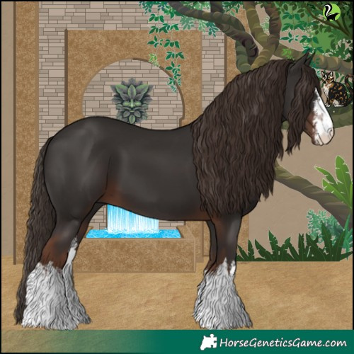 Horse Color:White Spotted Liver Chestnut 