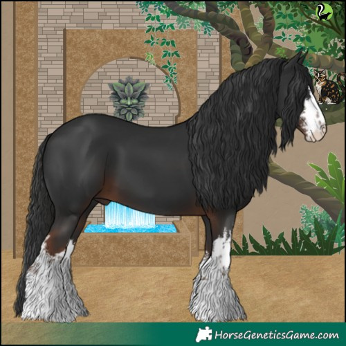 Horse Color:White Spotted Liver Chestnut 