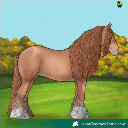 Horse Color:Gold Champagne