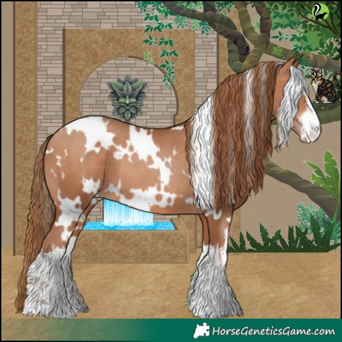 Horse Color:White Spotted Brown Pearl 