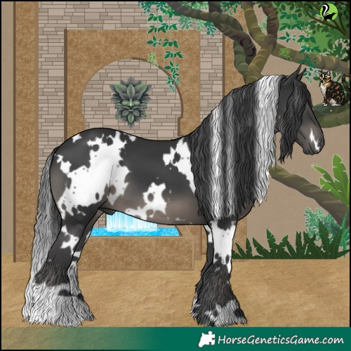 Horse Color:White Spotted Black 