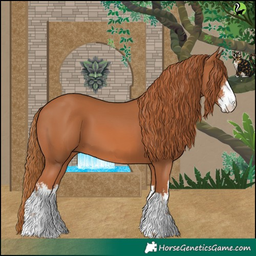 Horse Color:White Spotted Chestnut 