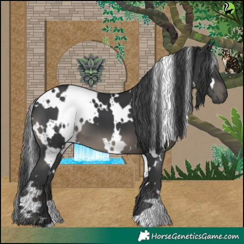 Horse Color:White Spotted Black 