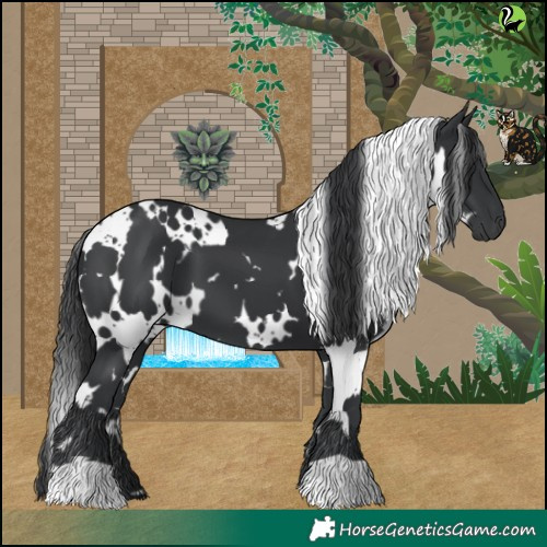 Horse Color:White Spotted Black 