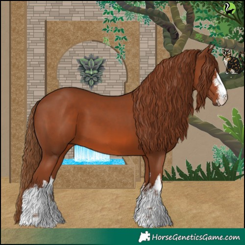 Horse Color:White Spotted Chestnut 