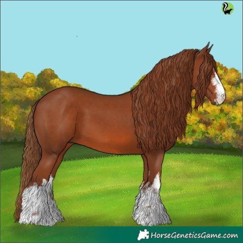 Horse Color:White Spotted Chestnut 
