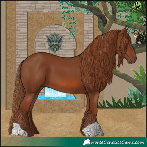 Horse Color:Chestnut 