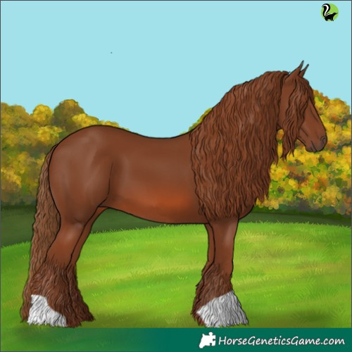 Horse Color:Chestnut 