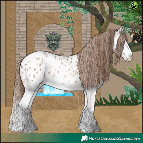 Horse Color:Liver Chestnut Pearl Splash Appaloosa 