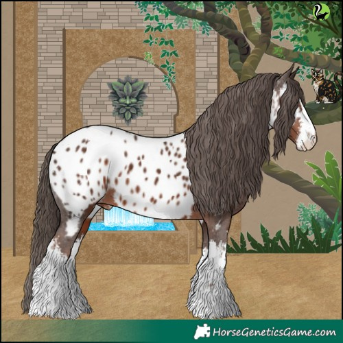 Horse Color:White Spotted Liver Chestnut Appaloosa 