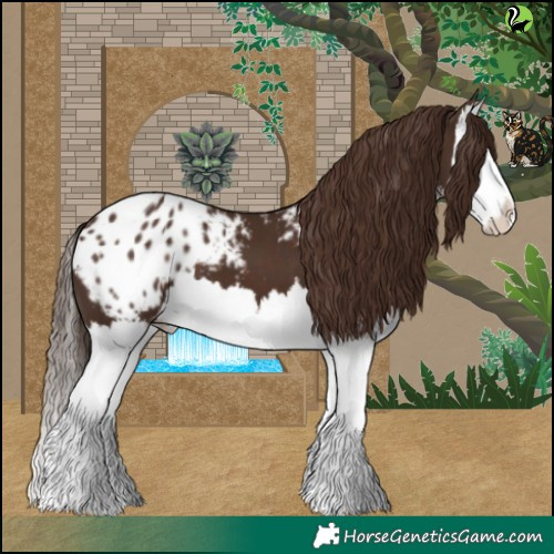 Horse Color:White Spotted Liver Chestnut Splash Appaloosa 