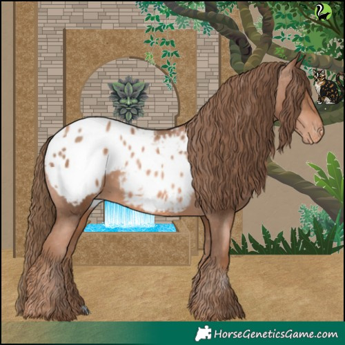 Horse Color:Liver Chestnut Pearl Appaloosa 