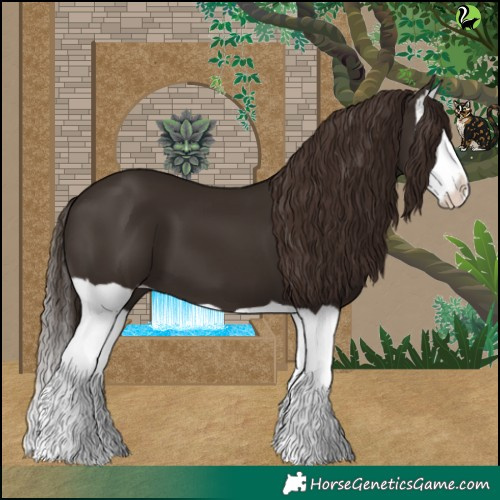 Horse Color:Liver Chestnut Splash 