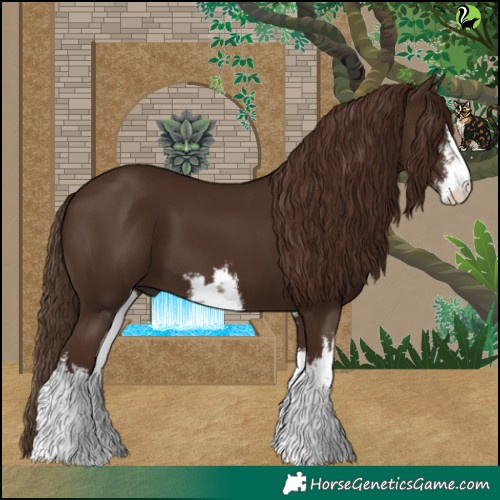 Horse Color:White Spotted Liver Chestnut 