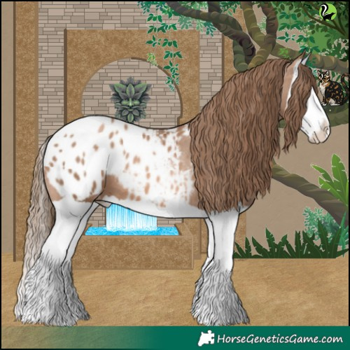 Horse Color:Liver Chestnut Pearl Splash Appaloosa 
