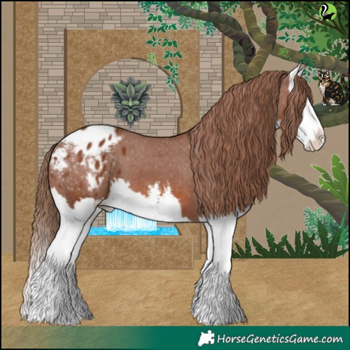 Horse Color:White Spotted Chestnut Splash Appaloosa 