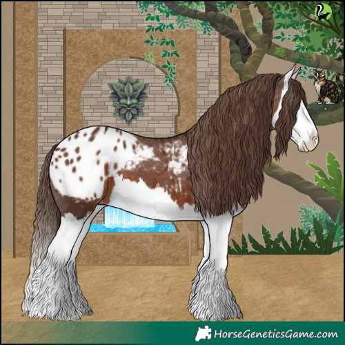Horse Color:White Spotted Liver Chestnut Splash Blanket 