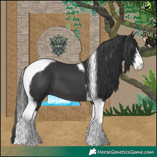 Horse Color:White Spotted Black Tobiano 