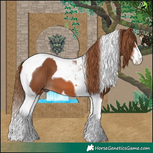 Horse Color:White Spotted Chestnut Tobiano 