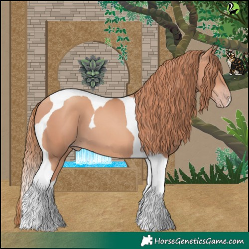 Horse Color:Gold Champagne Tobiano 