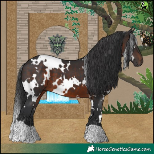 Horse Color:White Spotted Brown 