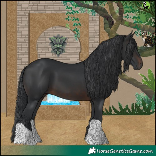 Horse Color:Brown 