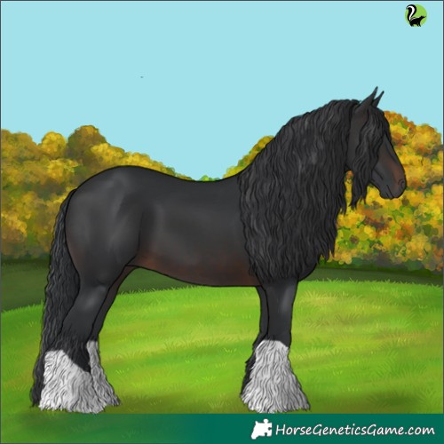 Horse Color:Brown 