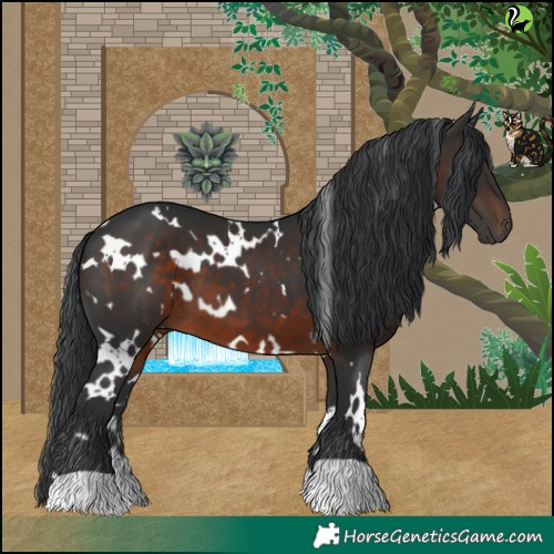 Horse Color:White Spotted Brown 