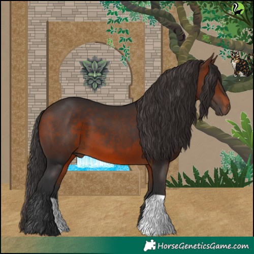 Horse Color:Brown 