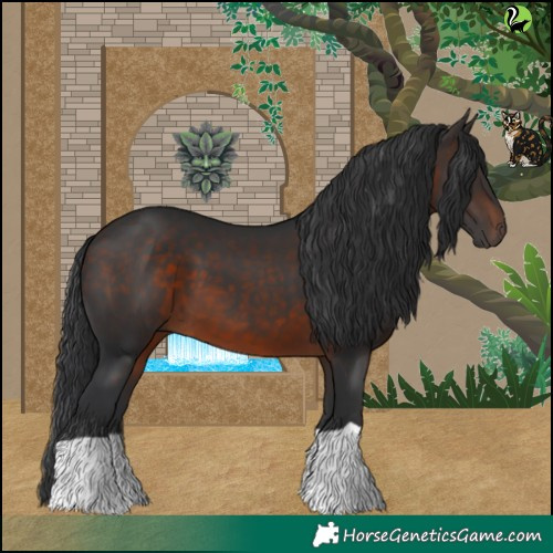 Horse Color:Brown 