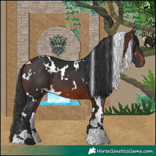 Horse Color:White Spotted Brown 