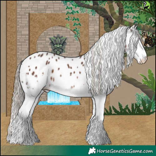 Horse Color:White Spotted Liver Chestnut Appaloosa 