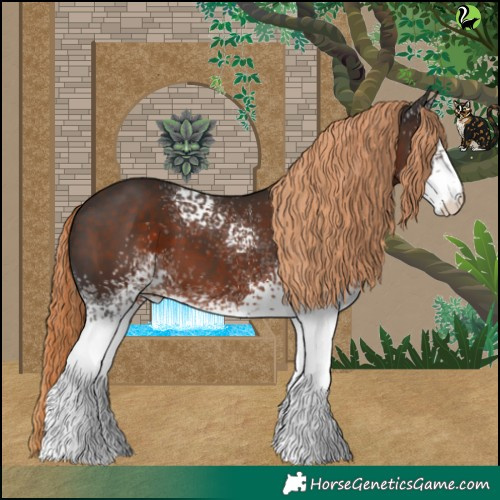 Horse Color:White Spotted Liver Chestnut 