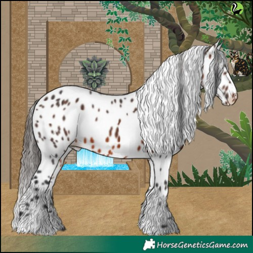Horse Color:Brown Leopard 