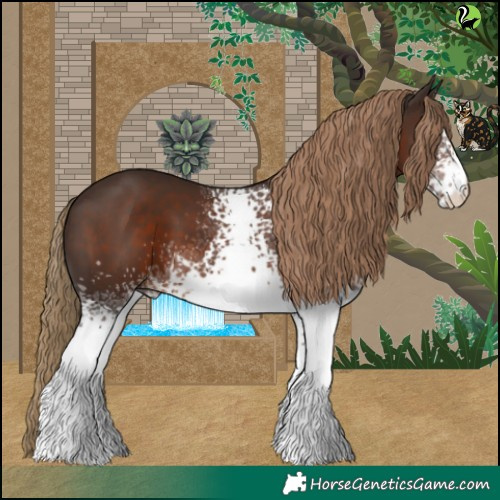 Horse Color:White Spotted Liver Chestnut 