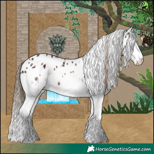 Horse Color:White Spotted Liver Chestnut Appaloosa 