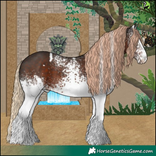 Horse Color:White Spotted Liver Chestnut 