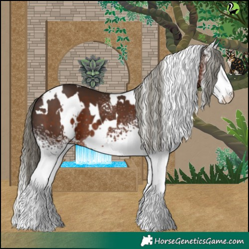 Horse Color:White Spotted Liver Chestnut 